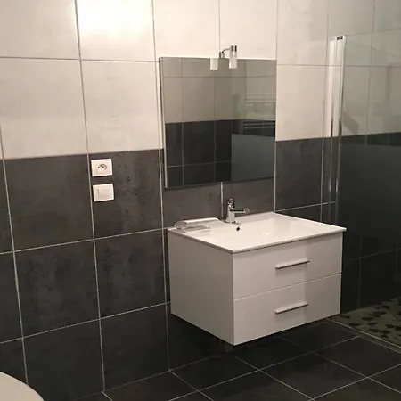 Duplex Grande Capacité Appartement Roisey